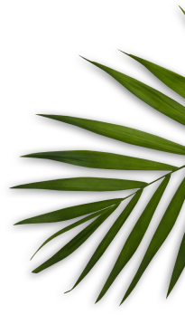 Farzana's Deluxe Beauty Salon