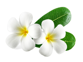 Farzana's Deluxe Beauty Salon