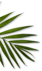 Farzana's Deluxe Beauty Salon